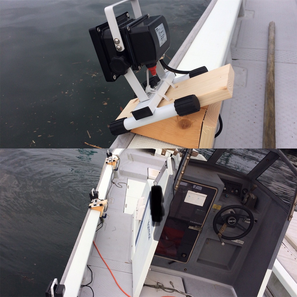 f:id:fishing-aquarium:20190708184713j:image