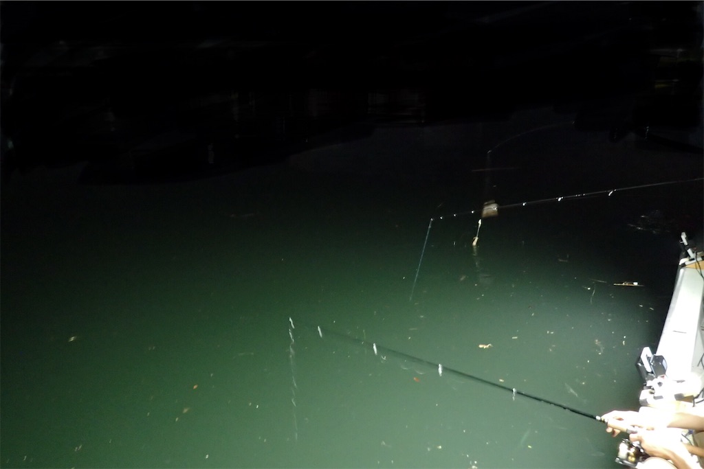 f:id:fishing-aquarium:20190708190148j:image