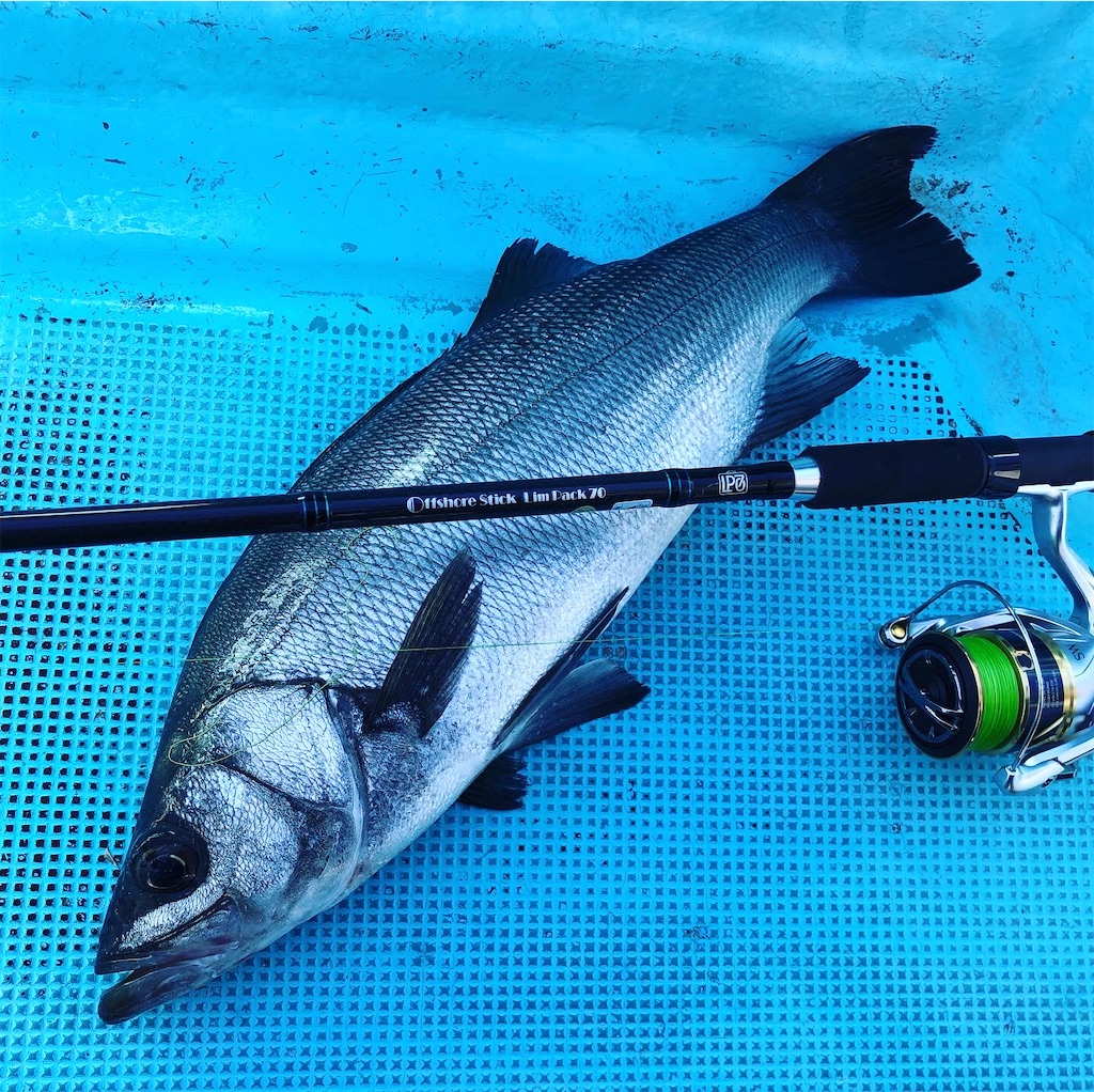 f:id:fishing-aquarium:20200225163604j:image f:id:fishing-aquarium:20200225163604j:image