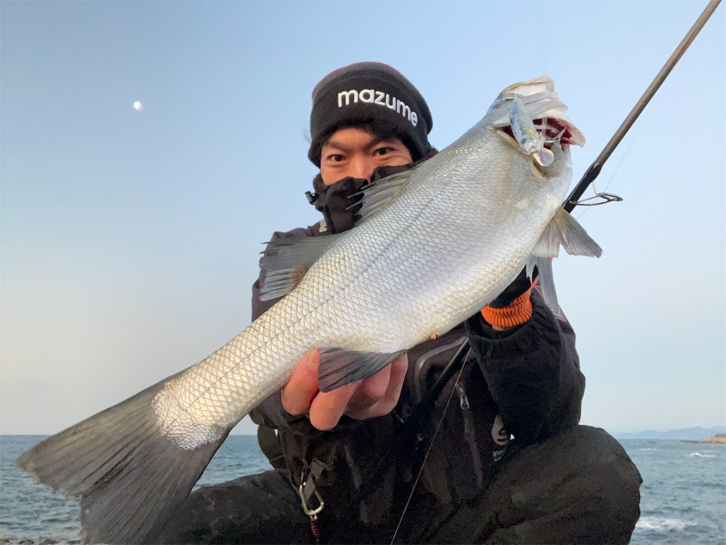 北西風の吹き荒れる磯で青物ヒラスズキゲーム Fishing Aquarium 飼育員が創る釣り水族館