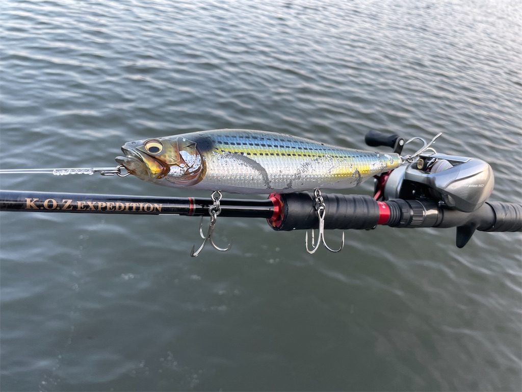 f:id:fishing-aquarium:20230527122133j:image