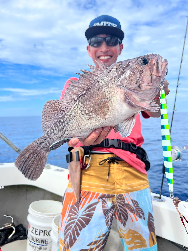 f:id:fishing-aquarium:20230807183533j:image