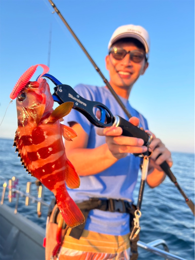 f:id:fishing-aquarium:20240724133740j:image