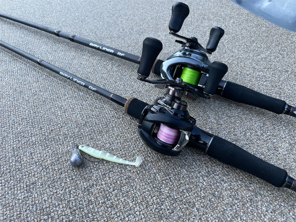 f:id:fishing-aquarium:20240724133934j:image