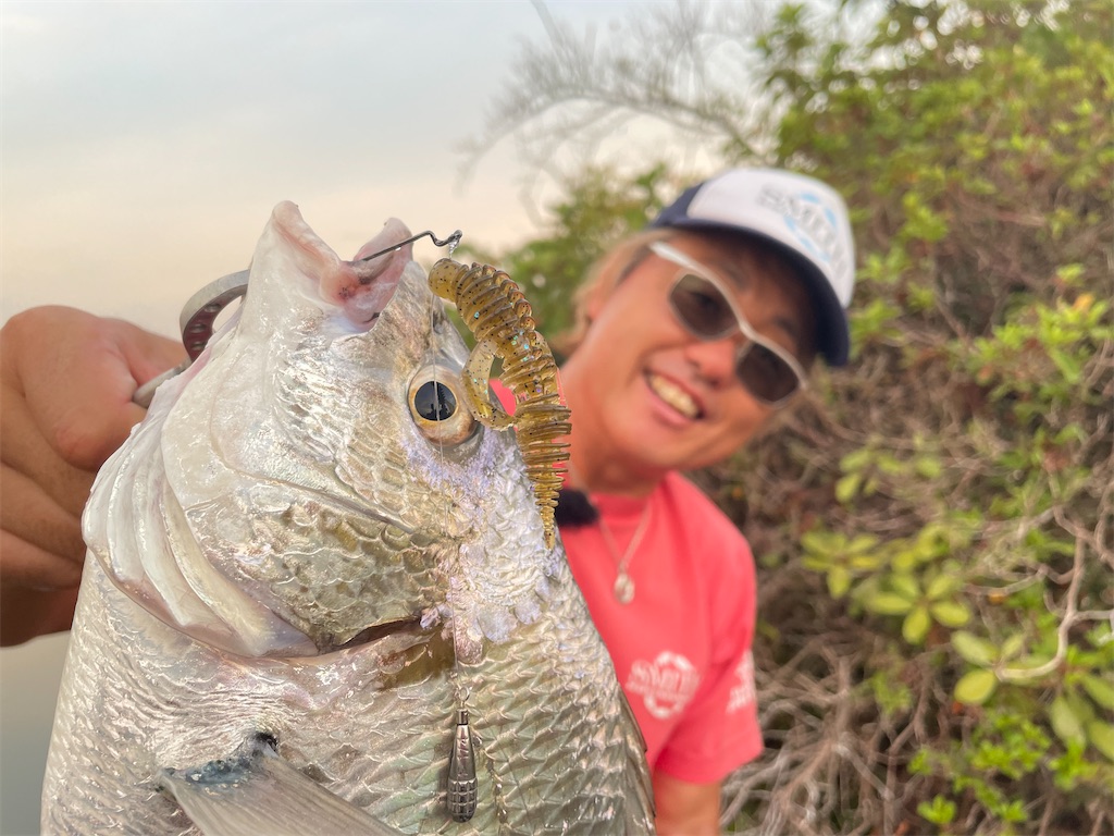 f:id:fishing-aquarium:20240820132614j:image