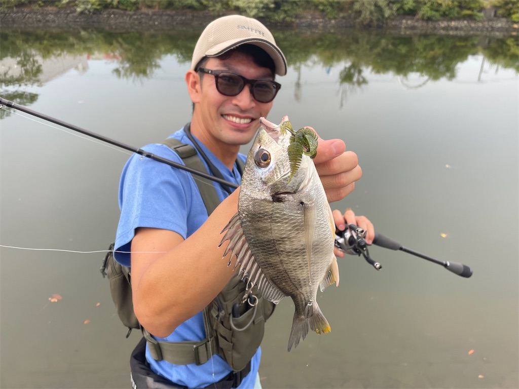 f:id:fishing-aquarium:20240820215225j:image
