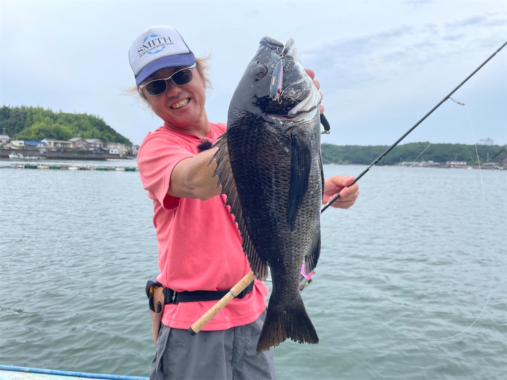 f:id:fishing-aquarium:20240820215337j:image