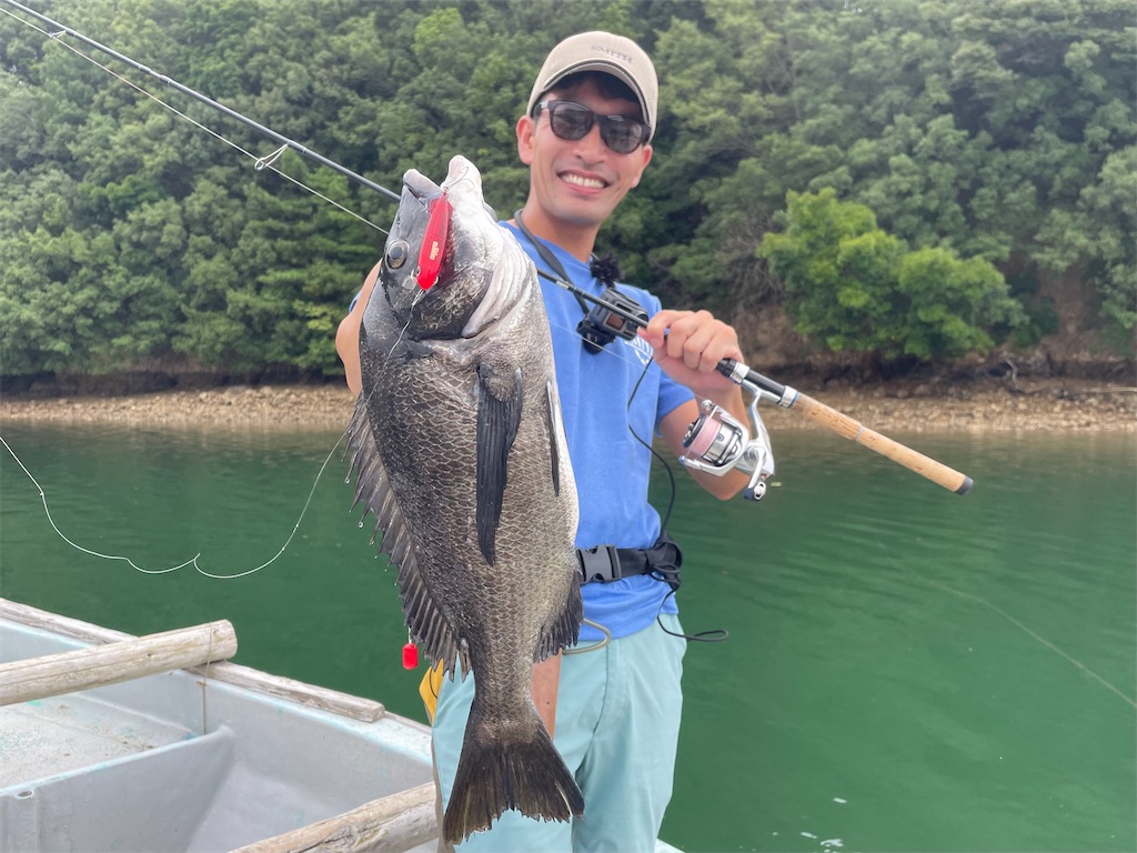 f:id:fishing-aquarium:20240820215342j:image