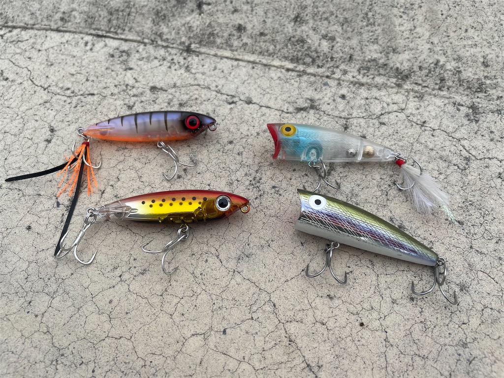 f:id:fishing-aquarium:20240820215444j:image