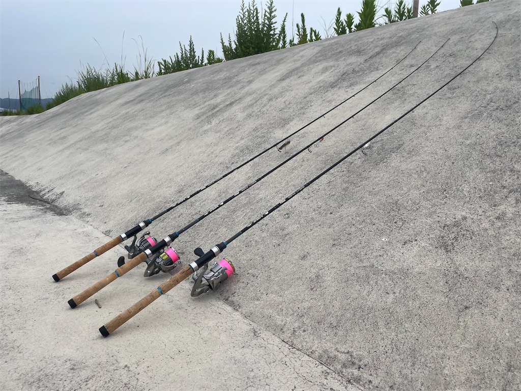 f:id:fishing-aquarium:20240820215446j:image