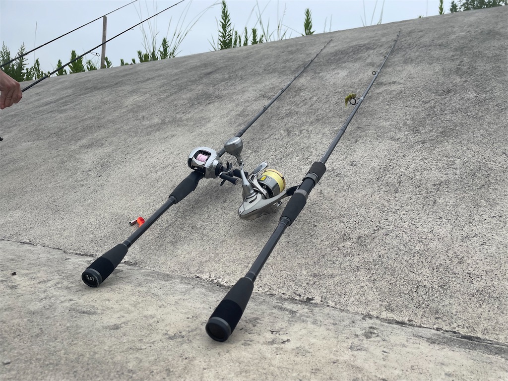 f:id:fishing-aquarium:20240820215518j:image