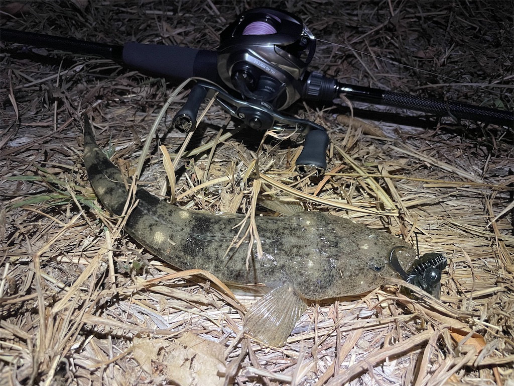 f:id:fishing-aquarium:20240912142140j:image