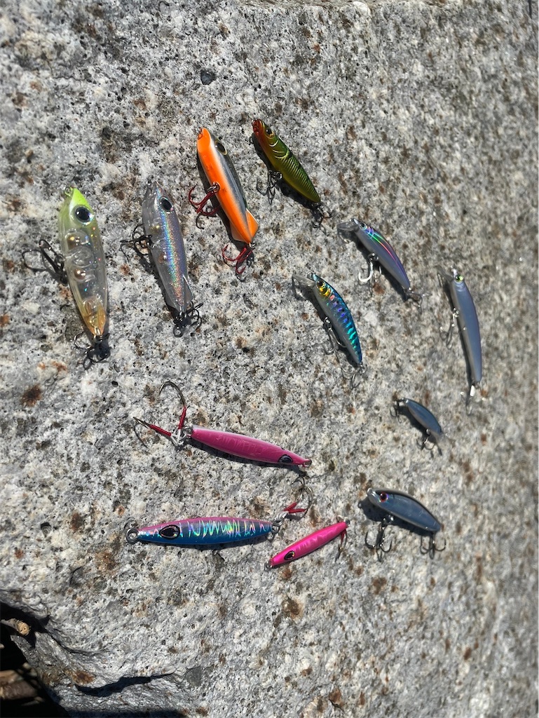 f:id:fishing-aquarium:20240927120637j:image