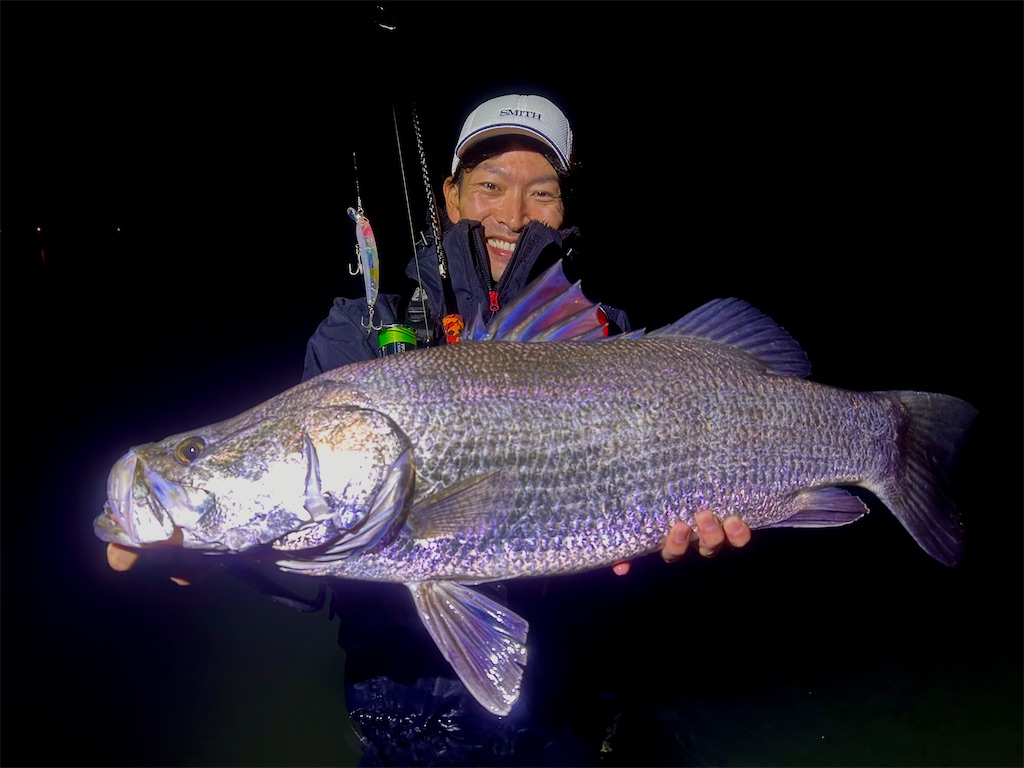 f:id:fishing-aquarium:20241214153427j:image