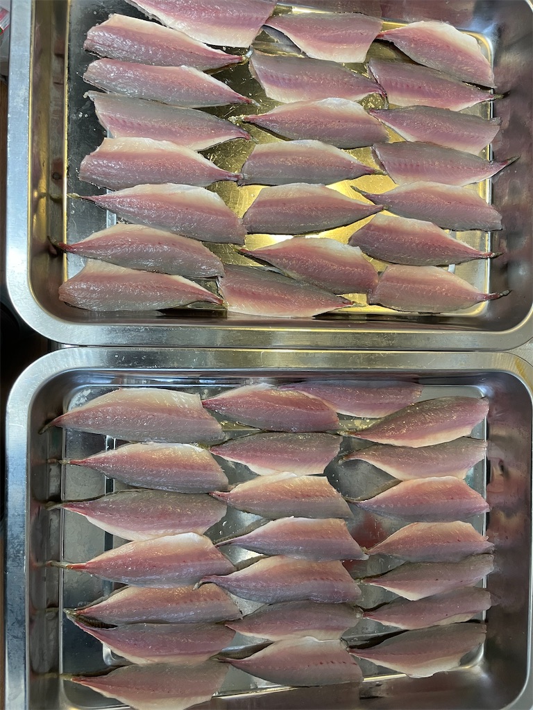 f:id:fishing-aquarium:20250109174147j:image