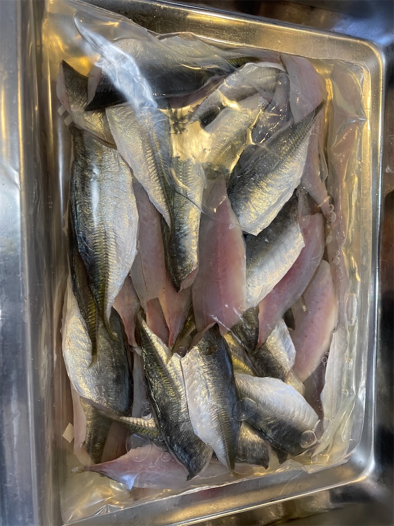 f:id:fishing-aquarium:20250109174223j:image