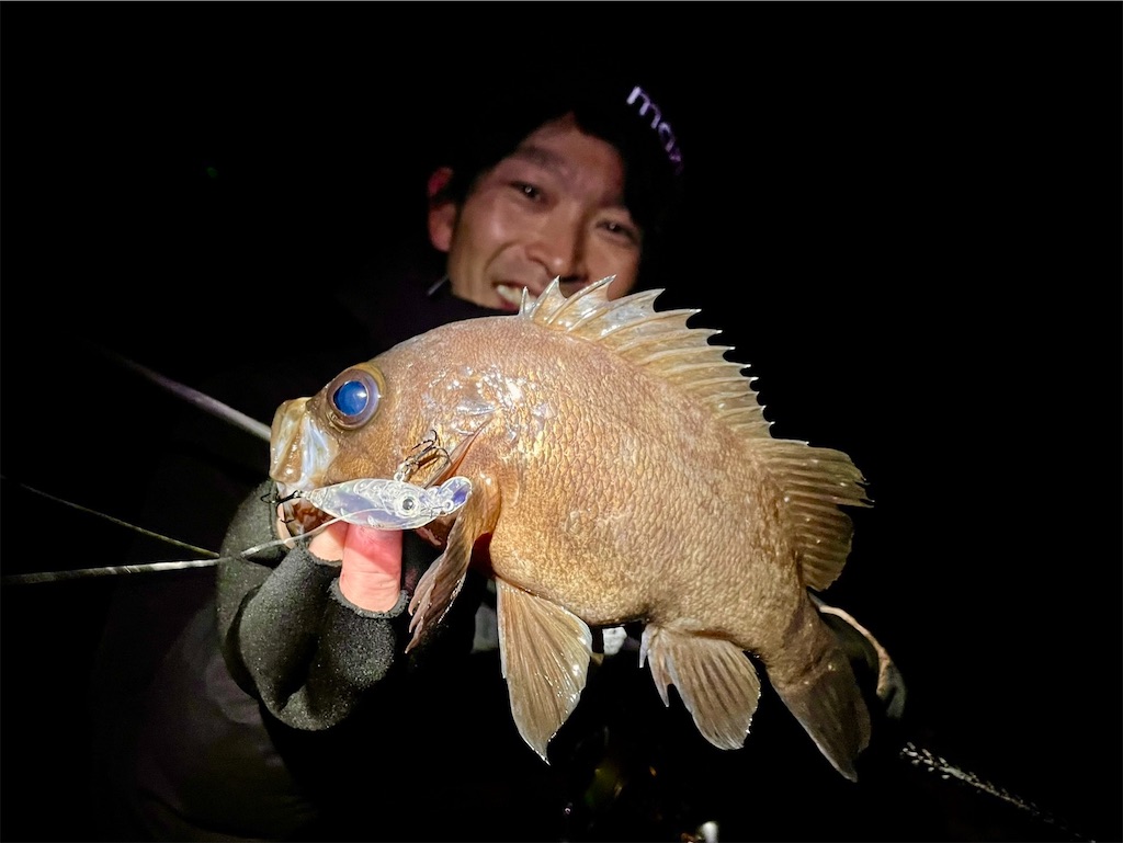 f:id:fishing-aquarium:20250306124214j:image