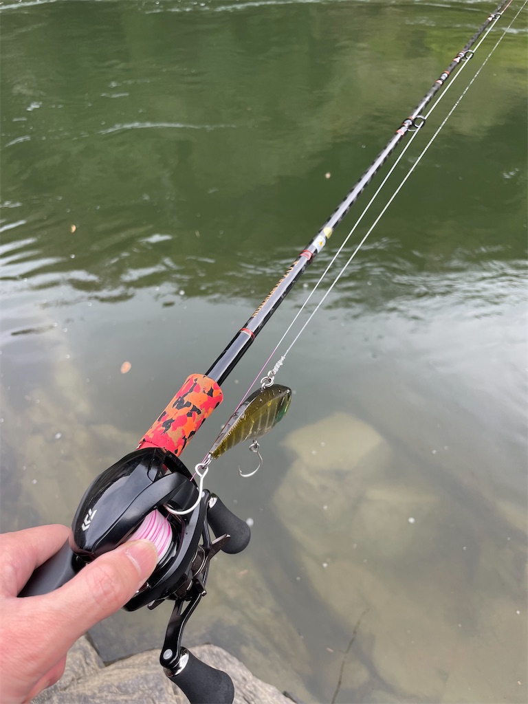 f:id:fishing-aquarium:20250415150035j:image