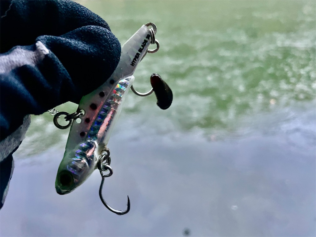 f:id:fishing-aquarium:20250415150216j:image