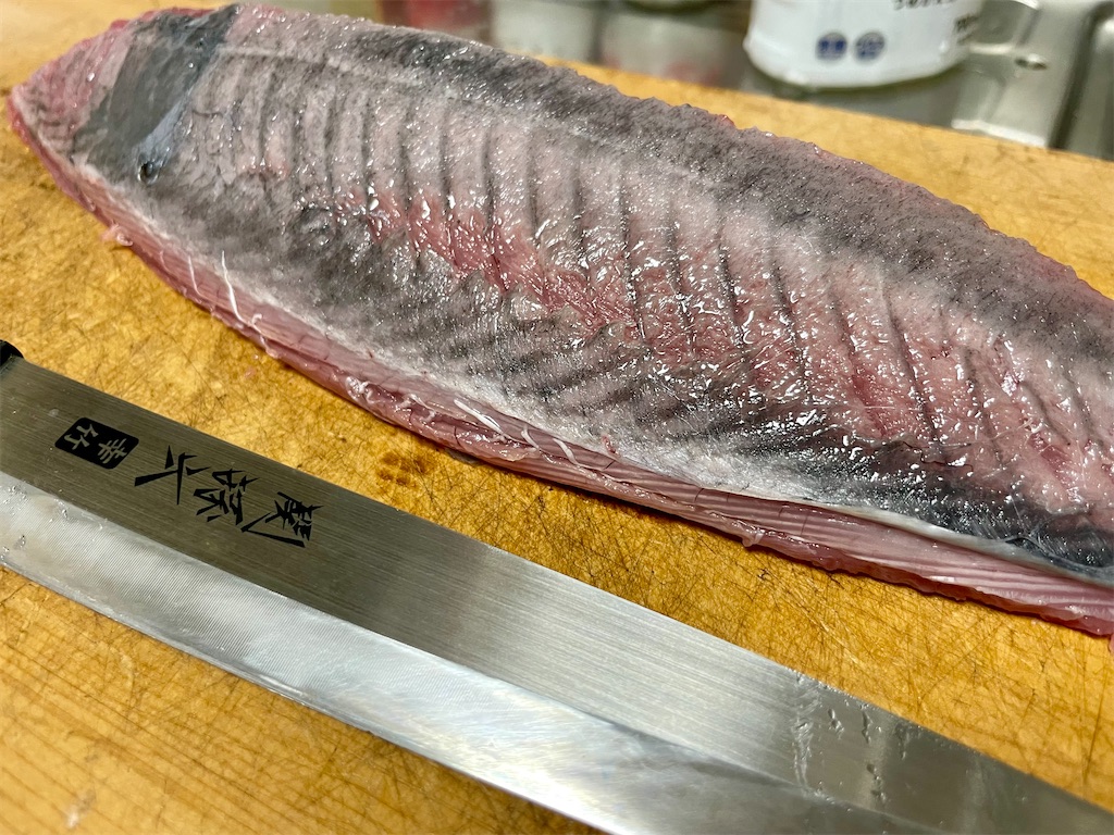 f:id:fishing-aquarium:20250509121738j:image