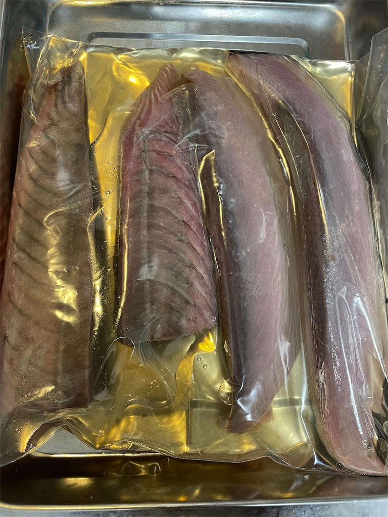 f:id:fishing-aquarium:20250509122541j:image