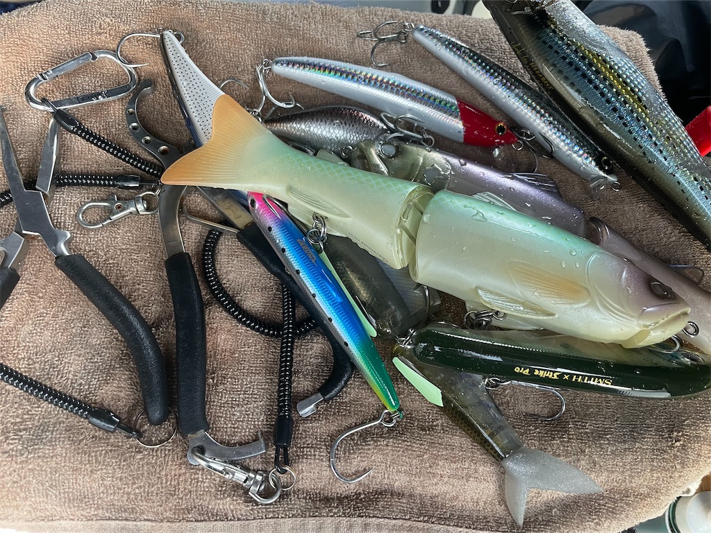 f:id:fishing-aquarium:20250516182402j:image