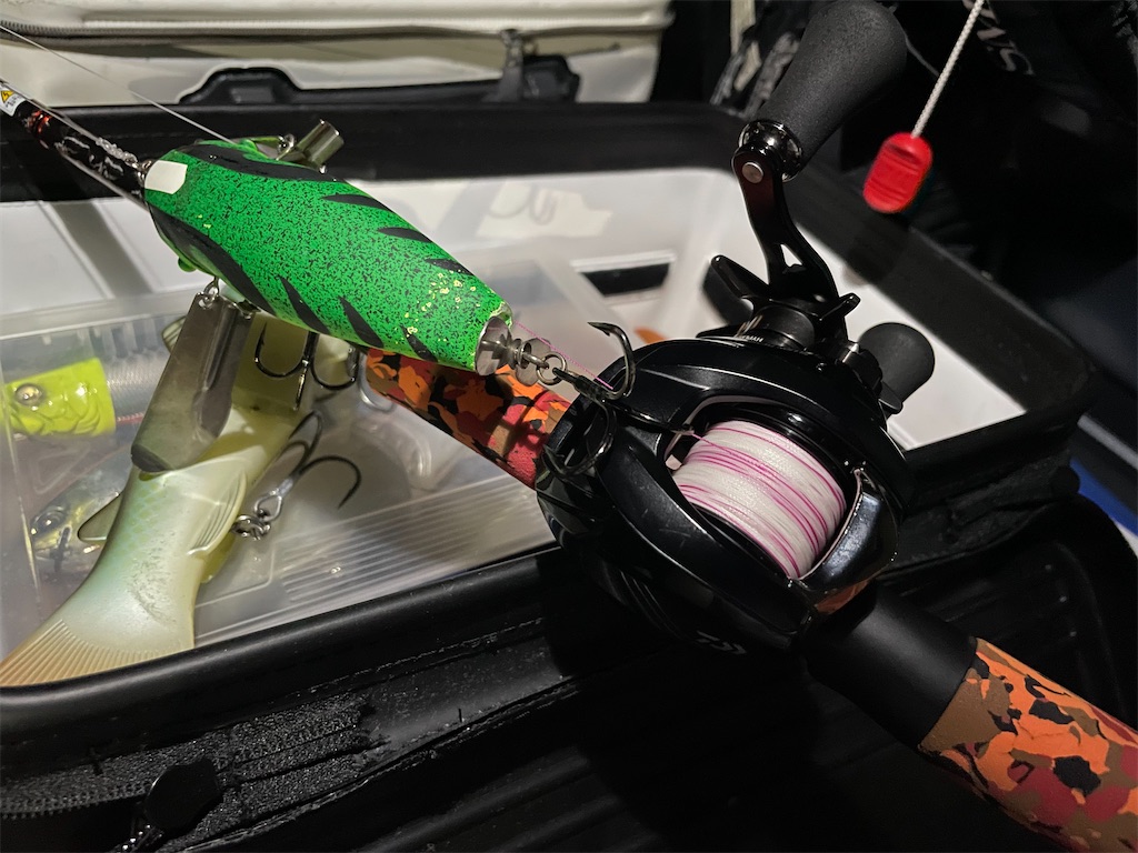 f:id:fishing-aquarium:20250523181133j:image