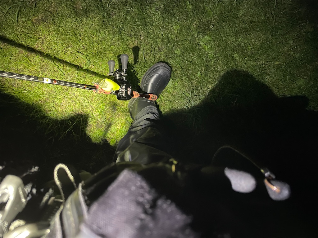 f:id:fishing-aquarium:20250607225423j:image