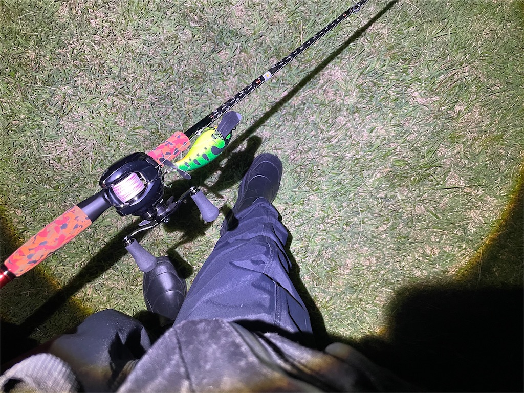 f:id:fishing-aquarium:20250610103022j:image