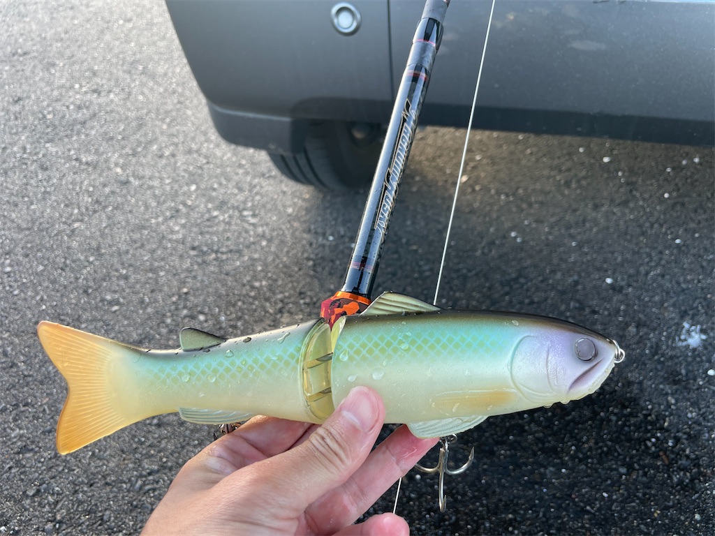 f:id:fishing-aquarium:20250615123832j:image