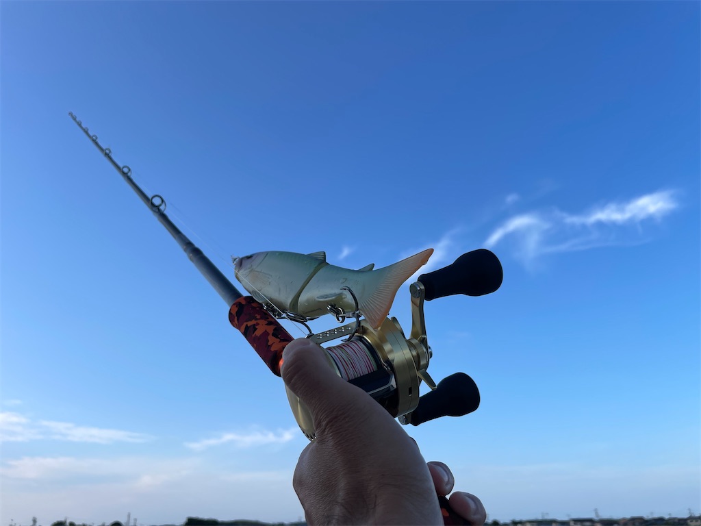 f:id:fishing-aquarium:20250615123847j:image
