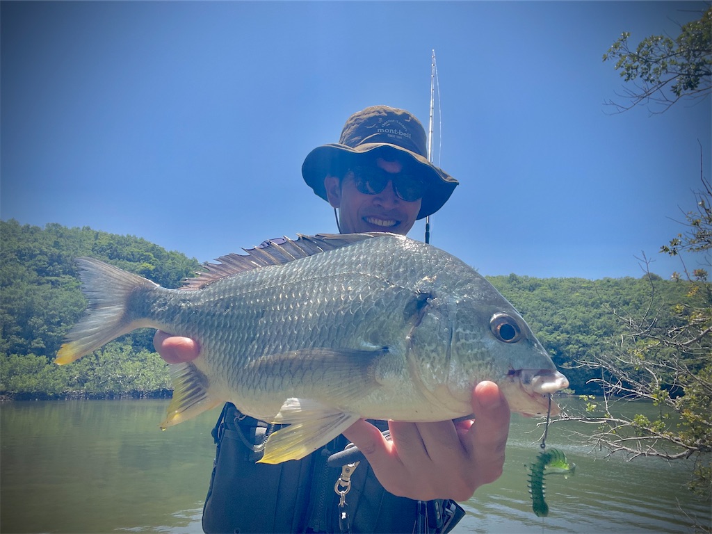 f:id:fishing-aquarium:20250626124010j:image