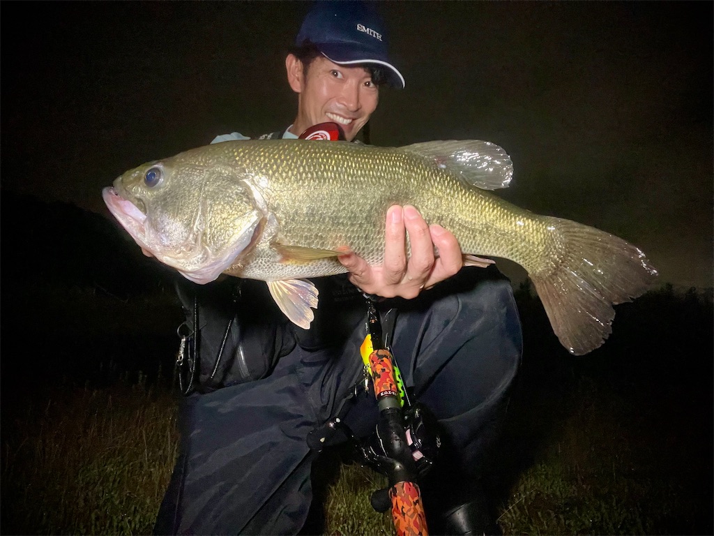 f:id:fishing-aquarium:20250629124752j:image