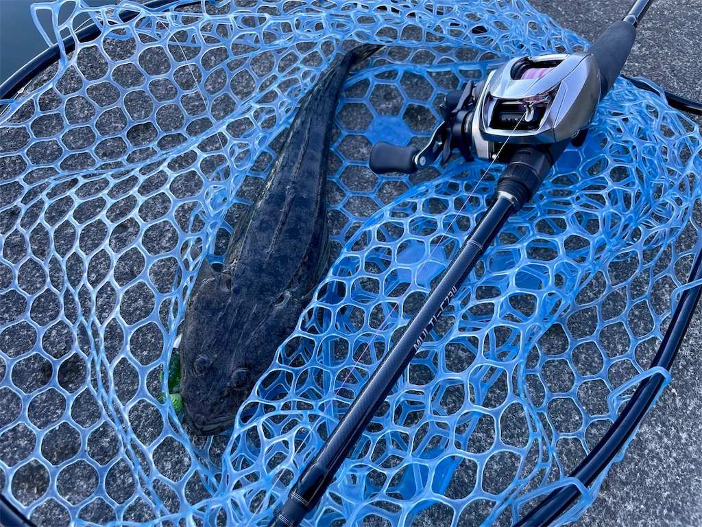 f:id:fishing-aquarium:20250712230702j:image