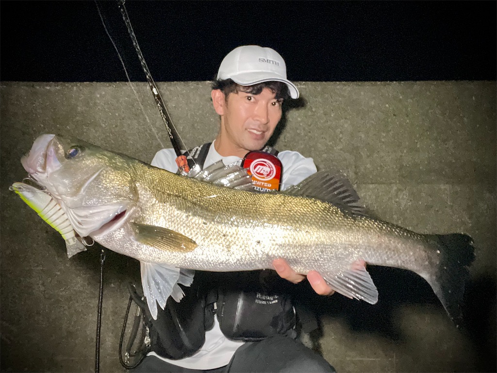 f:id:fishing-aquarium:20250713083218j:image
