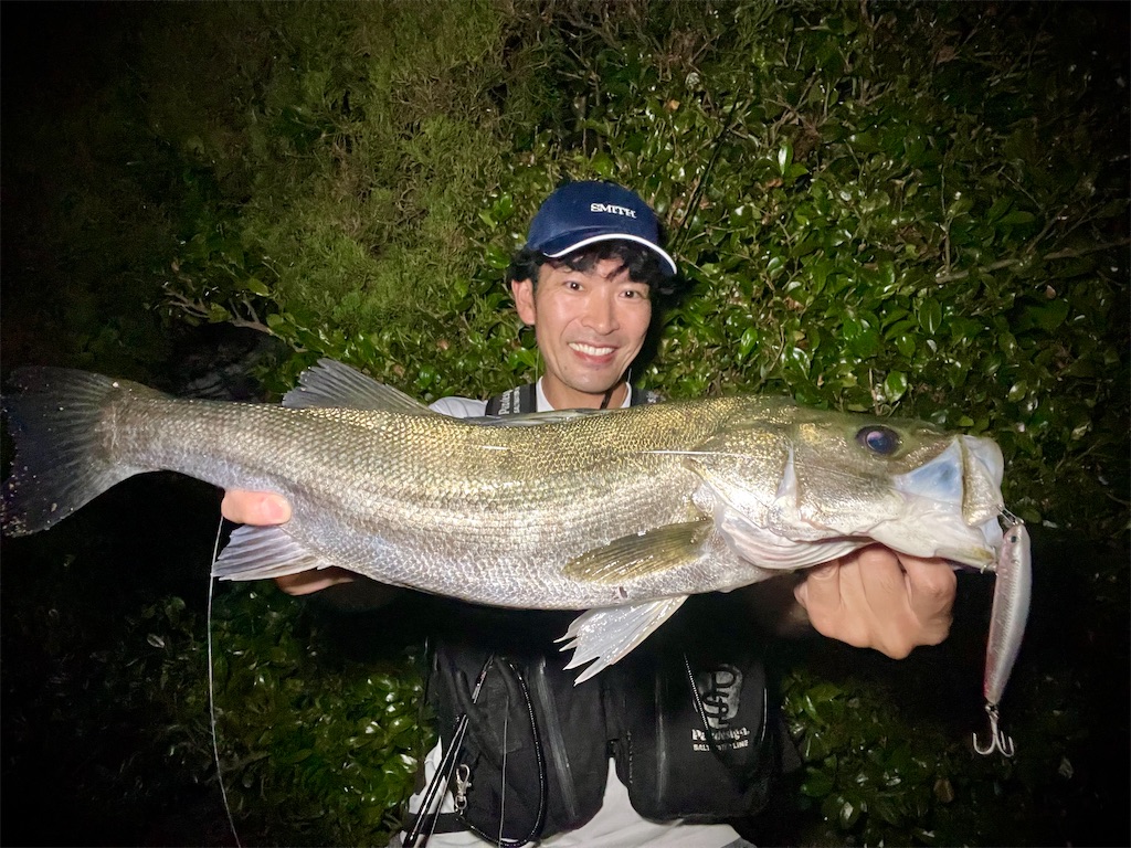 f:id:fishing-aquarium:20250718131707j:image