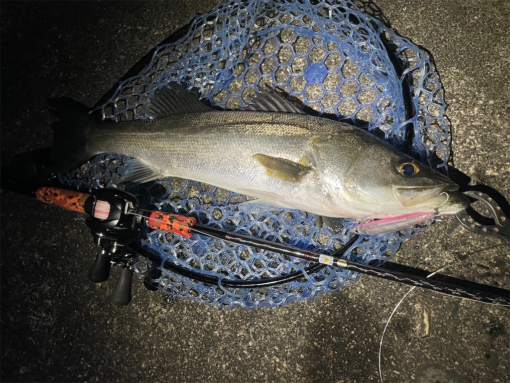 f:id:fishing-aquarium:20250720131846j:image