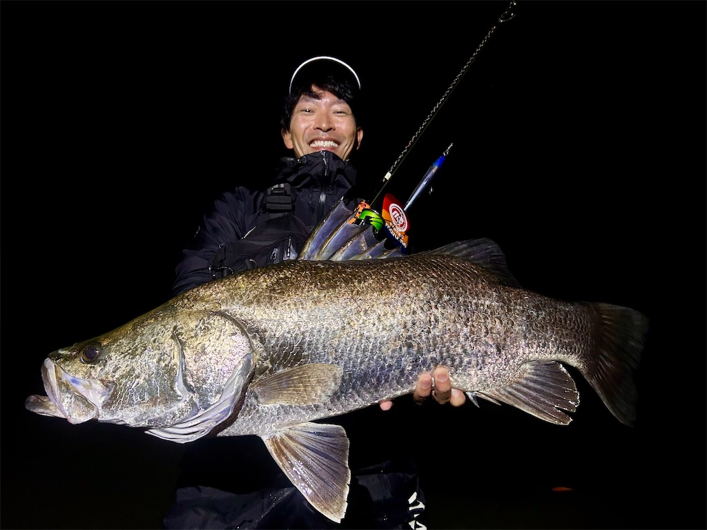 f:id:fishing-aquarium:20251122083356j:image