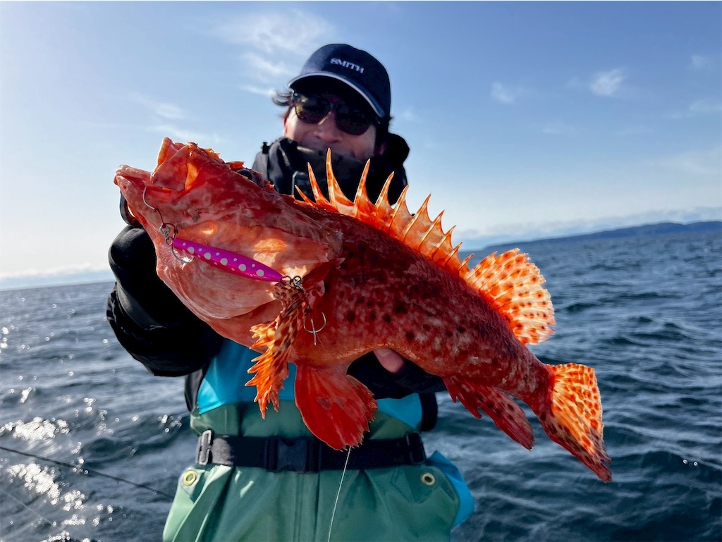 f:id:fishing-aquarium:20260302100233j:image f:id:fishing-aquarium:20260302100233j:image