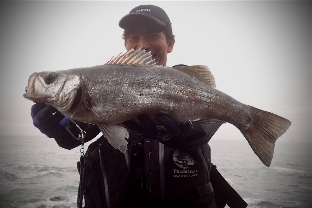 f:id:fishing-aquarium:20260424121431j:image