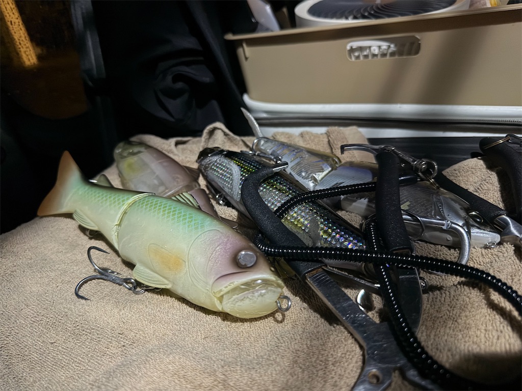 アカメチャレンジ2026〜3Days＋α 「ビッグベイトで決着」 - Fishing