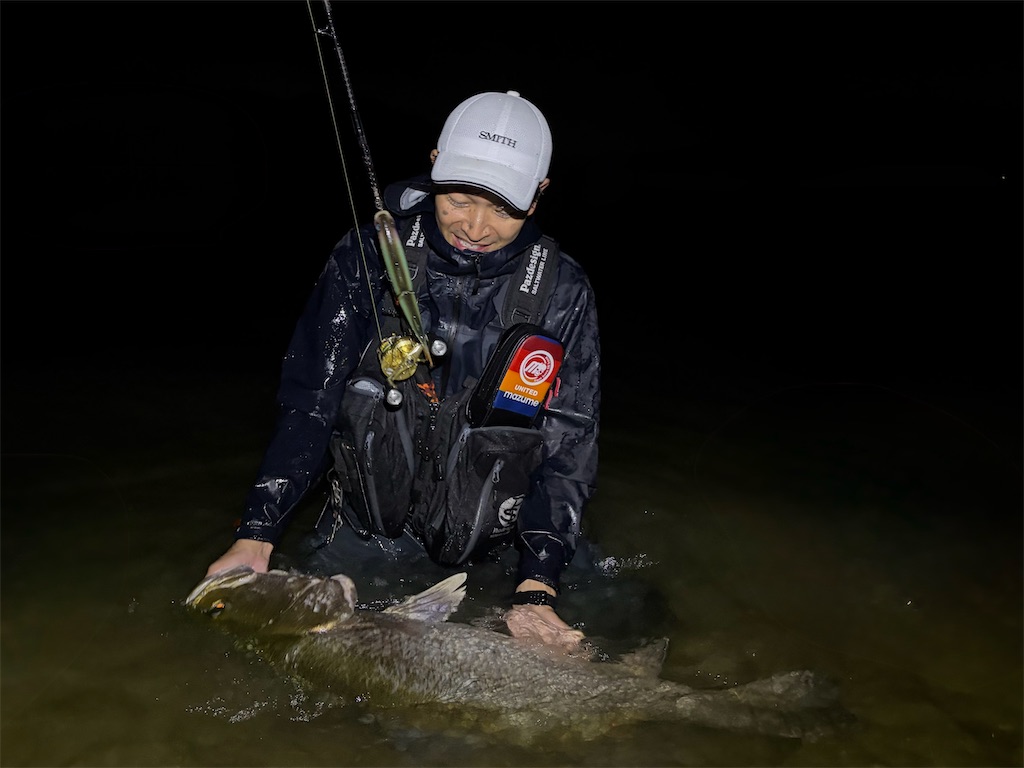 f:id:fishing-aquarium:20260602191949j:image