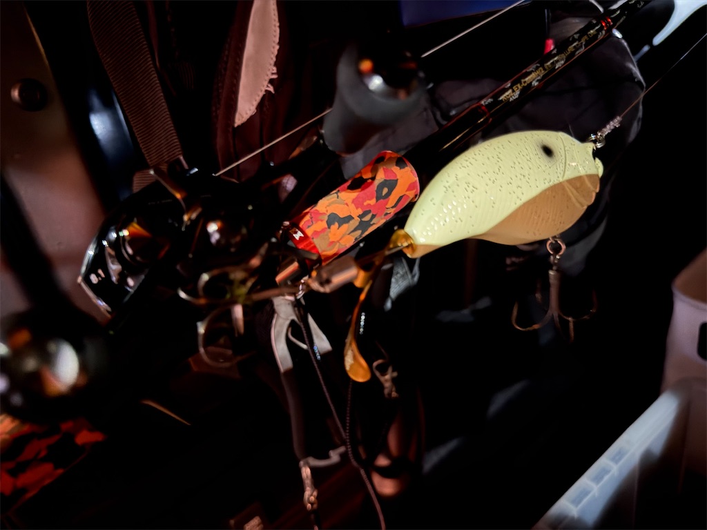 f:id:fishing-aquarium:20260705131403j:image