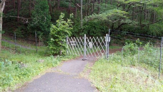 f:id:fishing-camp:20220522002619j:image f:id:fishing-camp:20220522002619j:image
