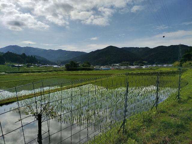 f:id:fishing-camp:20230624135313j:image f:id:fishing-camp:20230624135313j:image