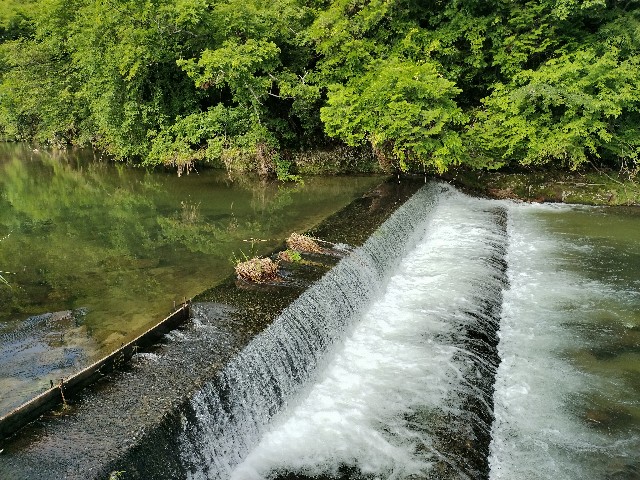 f:id:fishing-camp:20230624142510j:image f:id:fishing-camp:20230624142510j:image