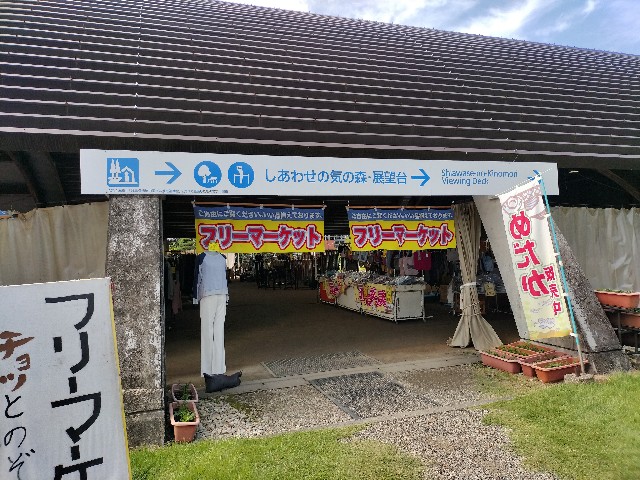 f:id:fishing-camp:20231007233211j:image f:id:fishing-camp:20231007233211j:image