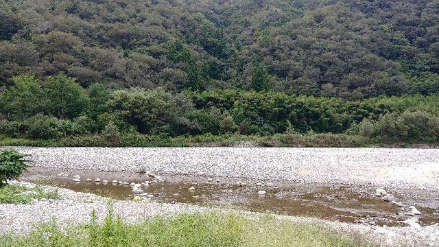 f:id:fishing-camp:20231105110851j:image f:id:fishing-camp:20231105110851j:image