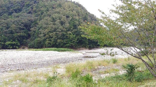 f:id:fishing-camp:20231105110902j:image f:id:fishing-camp:20231105110902j:image