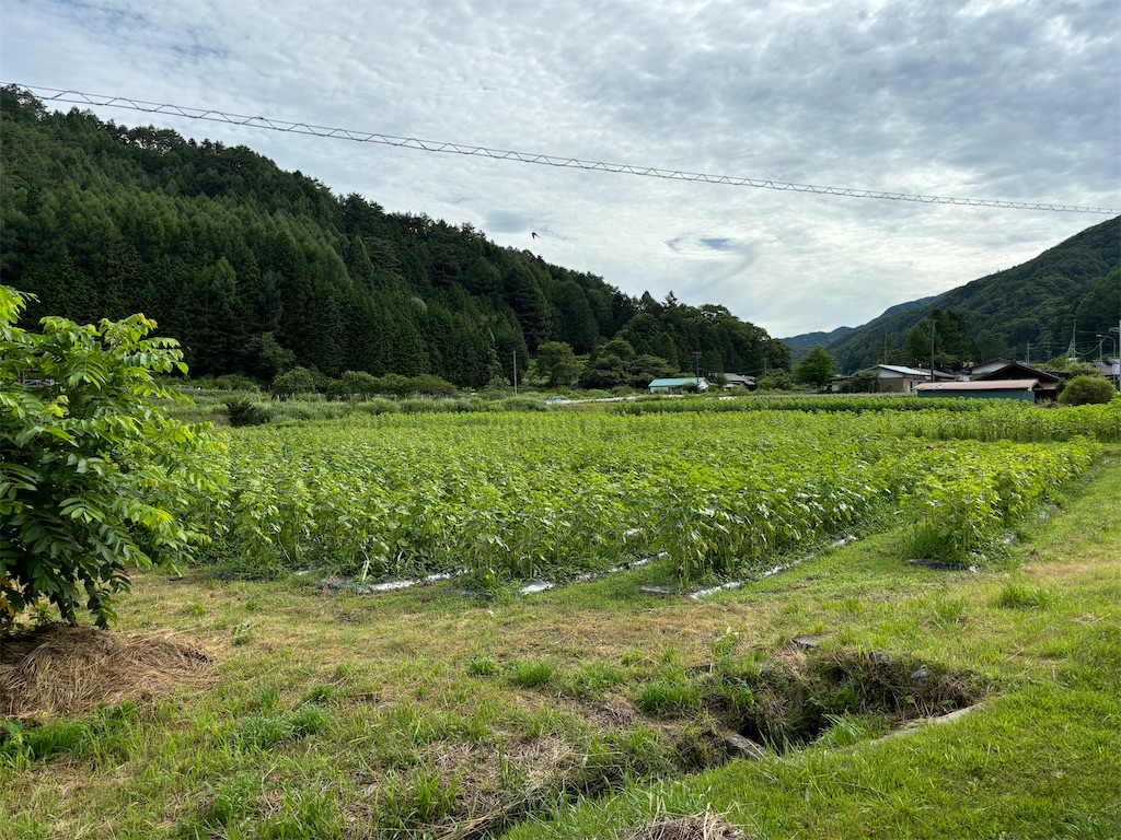 f:id:fishing-camp:20240727211757j:image f:id:fishing-camp:20240727211757j:image